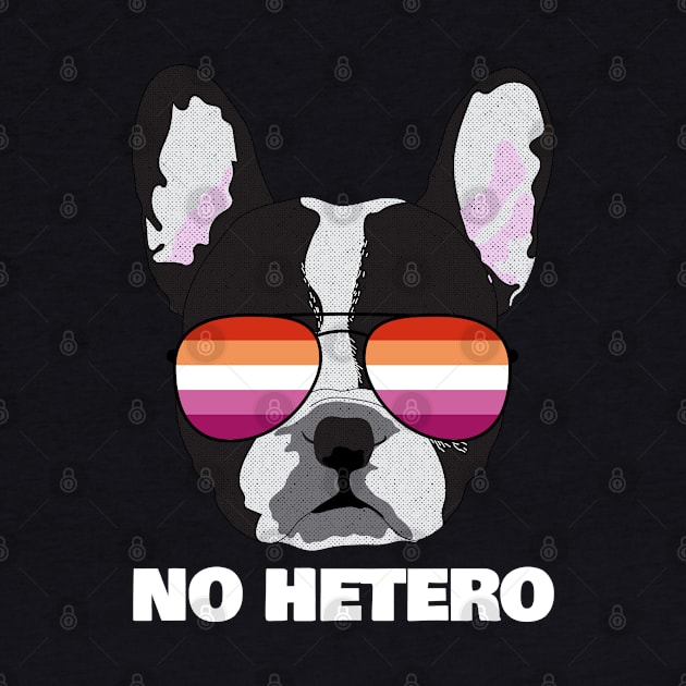 Funny Lesbian NO HETERO - Boston Terrier Dog Lesbian Pride Flag by NightField